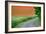 A Field of Red Poppy Flowers-Frank May-Framed Photo