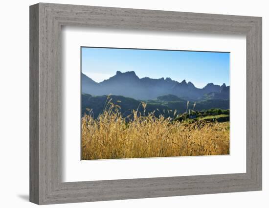 A field of rye at sunset with the mountain range of Pitoes das Junias in the background. Peneda Ger-Mauricio Abreu-Framed Photographic Print
