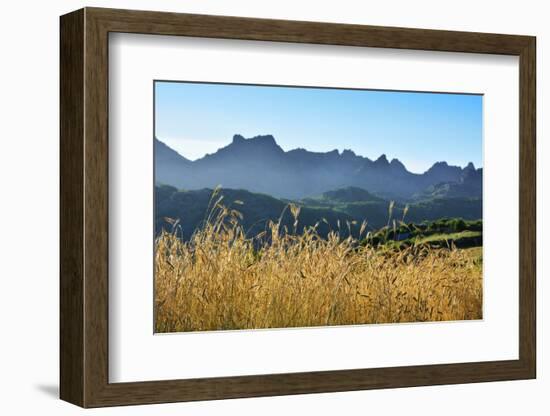 A field of rye at sunset with the mountain range of Pitoes das Junias in the background. Peneda Ger-Mauricio Abreu-Framed Photographic Print