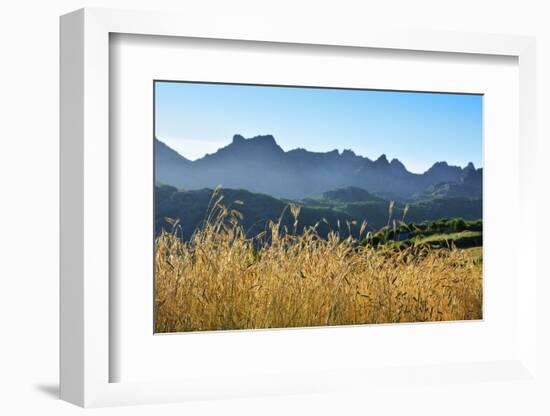 A field of rye at sunset with the mountain range of Pitoes das Junias in the background. Peneda Ger-Mauricio Abreu-Framed Photographic Print