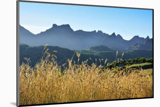 A field of rye at sunset with the mountain range of Pitoes das Junias in the background. Peneda Ger-Mauricio Abreu-Mounted Photographic Print