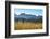 A field of rye at sunset with the mountain range of Pitoes das Junias in the background. Peneda Ger-Mauricio Abreu-Framed Photographic Print