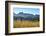 A field of rye at sunset with the mountain range of Pitoes das Junias in the background. Peneda Ger-Mauricio Abreu-Framed Photographic Print