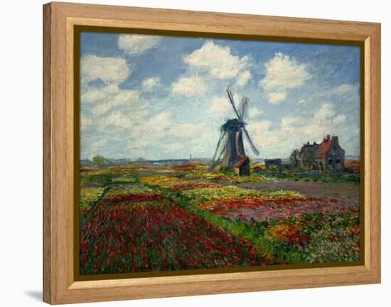 A Field of Tulips in Holland, 1886-Claude Monet-Framed Premier Image Canvas