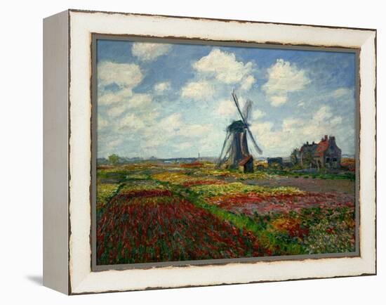 A Field of Tulips in Holland, 1886-Claude Monet-Framed Premier Image Canvas