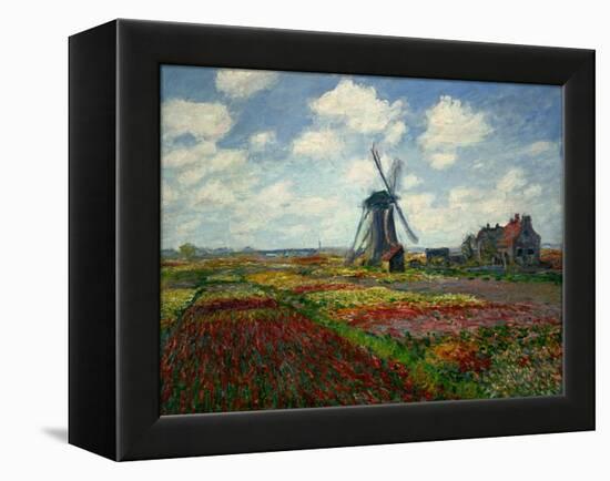 A Field of Tulips in Holland, 1886-Claude Monet-Framed Premier Image Canvas