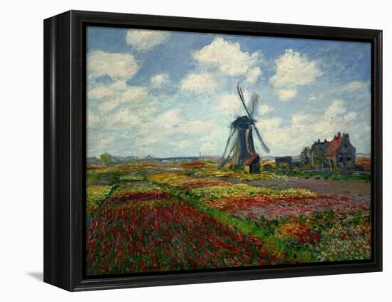 A Field of Tulips in Holland, 1886-Claude Monet-Framed Premier Image Canvas