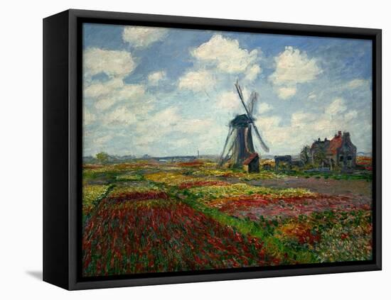 A Field of Tulips in Holland, 1886-Claude Monet-Framed Premier Image Canvas