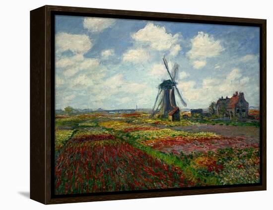 A Field of Tulips in Holland, 1886-Claude Monet-Framed Premier Image Canvas