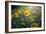 A Field Of Yellow Daisy Like Flowers Backlit By The Sun-Karine Aigner-Framed Photographic Print