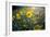 A Field Of Yellow Daisy Like Flowers Backlit By The Sun-Karine Aigner-Framed Photographic Print