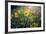 A Field Of Yellow Daisy Like Flowers Backlit By The Sun-Karine Aigner-Framed Photographic Print