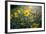 A Field Of Yellow Daisy Like Flowers Backlit By The Sun-Karine Aigner-Framed Photographic Print