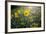 A Field Of Yellow Daisy Like Flowers Backlit By The Sun-Karine Aigner-Framed Photographic Print