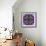 A Filigree Mandala from Color Drawing and Flower Photograph, Layered Work-Alaya Gadeh-Framed Photographic Print displayed on a wall