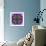 A Filigree Mandala from Color Drawing and Flower Photograph, Layered Work-Alaya Gadeh-Framed Photographic Print displayed on a wall