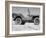 A Finished Jeep Sitting Alone-null-Framed Photographic Print