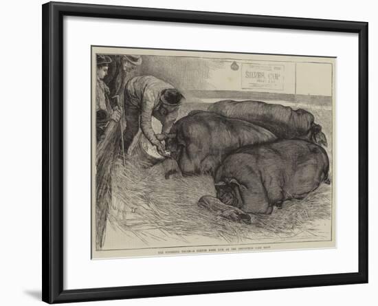 A Finishing Touch, a Sketch from Life at the Smithfield Club Show-William Small-Framed Giclee Print