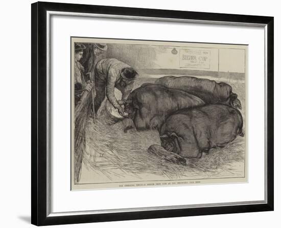 A Finishing Touch, a Sketch from Life at the Smithfield Club Show-William Small-Framed Giclee Print