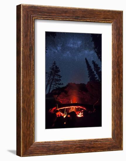 A Fire Burns under a Canopy of Stars and Evergreens in the Seven Devil Mountains in Central Idaho-Ben Herndon-Framed Photographic Print