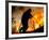 A Fire Fighter Retreats from a Forest Fire Near Fraldeu, Central Portugal-null-Framed Photographic Print