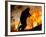 A Fire Fighter Retreats from a Forest Fire Near Fraldeu, Central Portugal-null-Framed Photographic Print