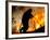 A Fire Fighter Retreats from a Forest Fire Near Fraldeu, Central Portugal-null-Framed Photographic Print