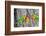 A Fischer's Lovebird Feeds its Mate in a Nest. Ngorongoro, Tanzania-James Heupel-Framed Photographic Print