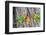 A Fischer's Lovebird Feeds its Mate in a Nest. Ngorongoro, Tanzania-James Heupel-Framed Photographic Print