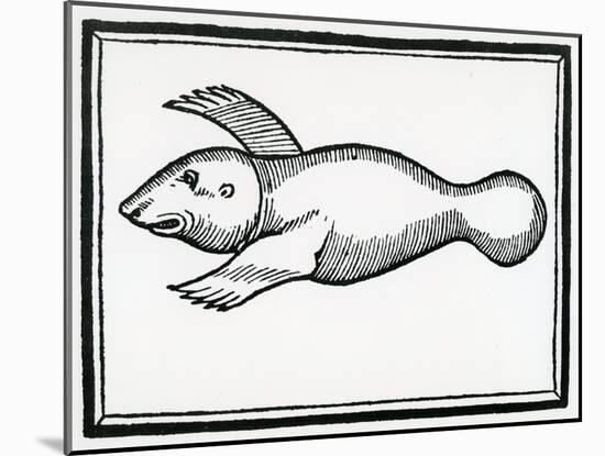 A Fish Called 'Manati' from 'La Historia General De Las Indias' 1547-Christopher Columbus-Mounted Giclee Print