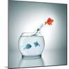 A Fishbowl With A Red Fish Jumping Out Of The Water-magann-Mounted Photographic Print