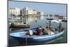 A Fishing Boat in the Harbour by the Cathedral of St. Nicholas the Pilgrim (San Nicola Pellegrino)-Stuart Forster-Mounted Photographic Print