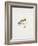 A Fishing Fly and Hook, Fishing Tackle-Fraser Sandeman-Framed Giclee Print