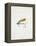 A Fishing Fly and Hook, Fishing Tackle-Fraser Sandeman-Framed Premier Image Canvas