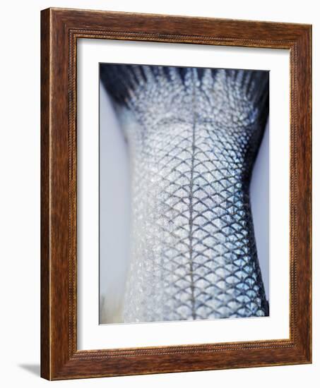 A Fishtail-Herbert Lehmann-Framed Photographic Print