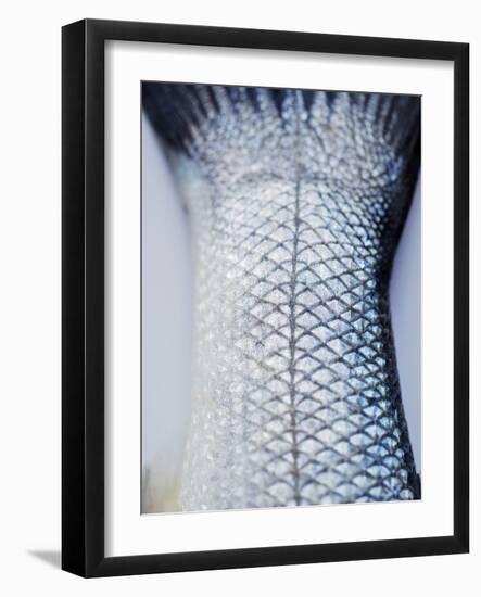 A Fishtail-Herbert Lehmann-Framed Photographic Print