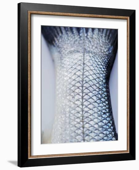 A Fishtail-Herbert Lehmann-Framed Photographic Print