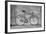 A Fixed-Gear Bicycle (Or Fixie) In Black And White With A Pink Chain-Dutourdumonde-Framed Art Print