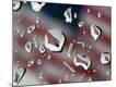 Premium Photographic Print