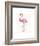 A Flamingo’s Fancy-Sillier than Sally-Framed Art Print