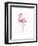 A Flamingo’s Fancy-Sillier than Sally-Framed Art Print