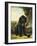 A Flat-Coated Retriever by a Tree-Henriette Ronner-Knip-Framed Giclee Print