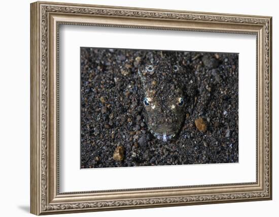 A Flathead Fish Camouflages Itself in the Sandy Seafloor-Stocktrek Images-Framed Photographic Print