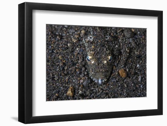 A Flathead Fish Camouflages Itself in the Sandy Seafloor-Stocktrek Images-Framed Photographic Print