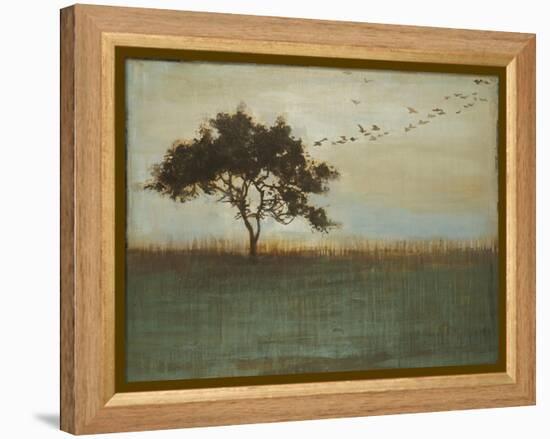 A Fleeting Glimpse-Liz Jardine-Framed Stretched Canvas