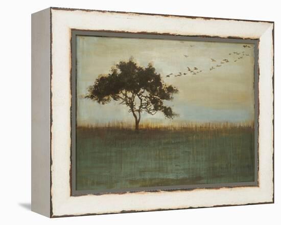 A Fleeting Glimpse-Liz Jardine-Framed Stretched Canvas