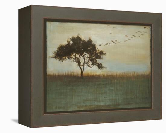 A Fleeting Glimpse-Liz Jardine-Framed Stretched Canvas