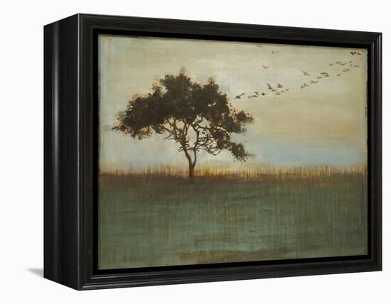 A Fleeting Glimpse-Liz Jardine-Framed Stretched Canvas