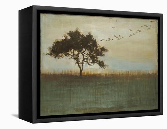 A Fleeting Glimpse-Liz Jardine-Framed Stretched Canvas