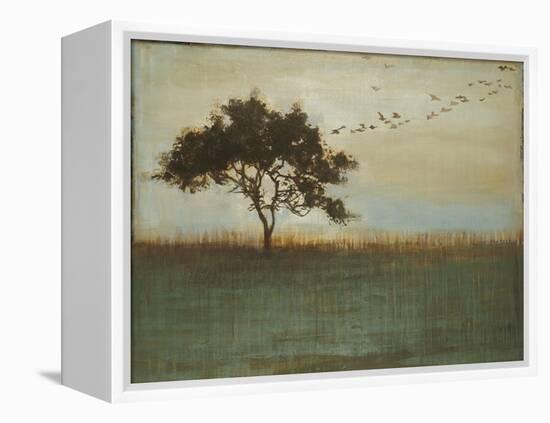 A Fleeting Glimpse-Liz Jardine-Framed Stretched Canvas